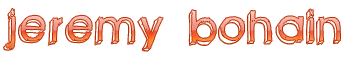 Polished Logo